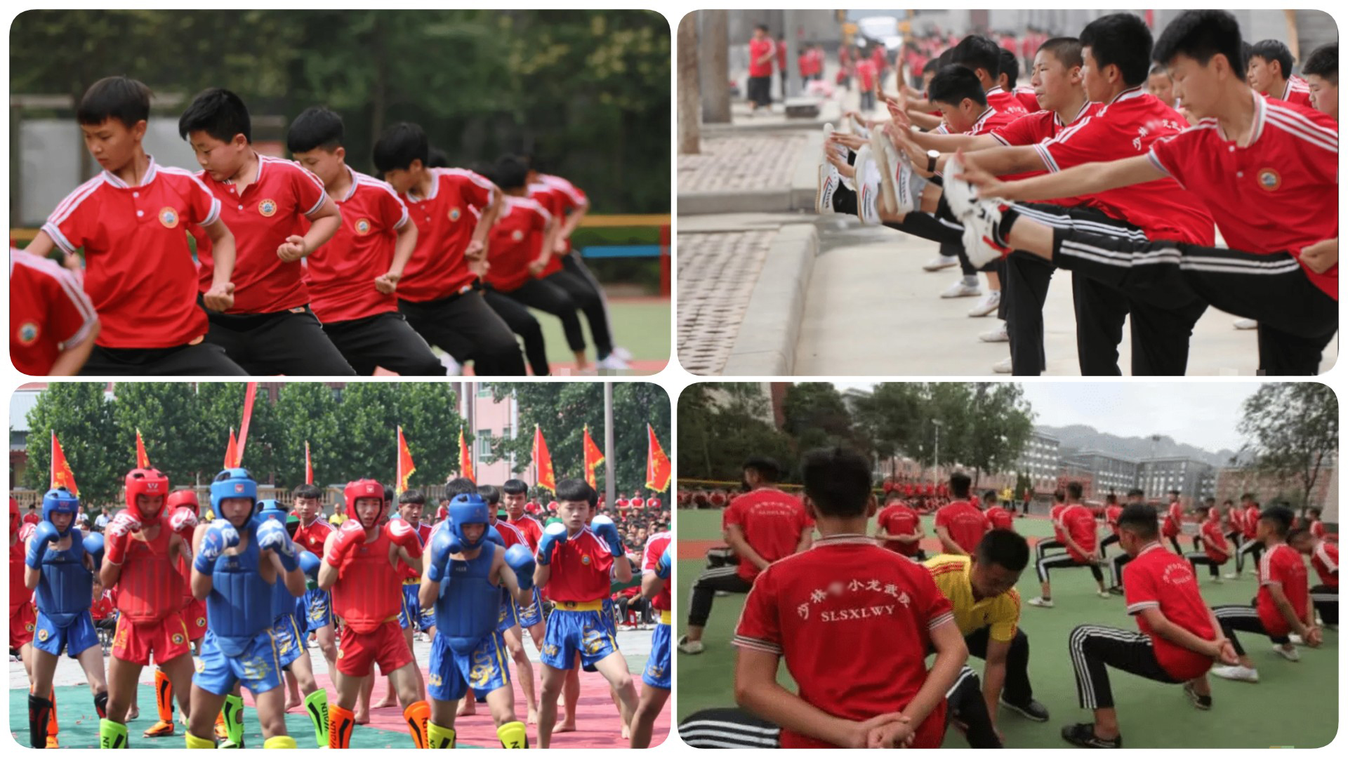 登封少林小龙武校2026年招生：文武兼修，铸就英才之路